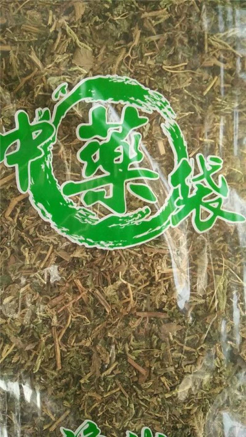 石上柏