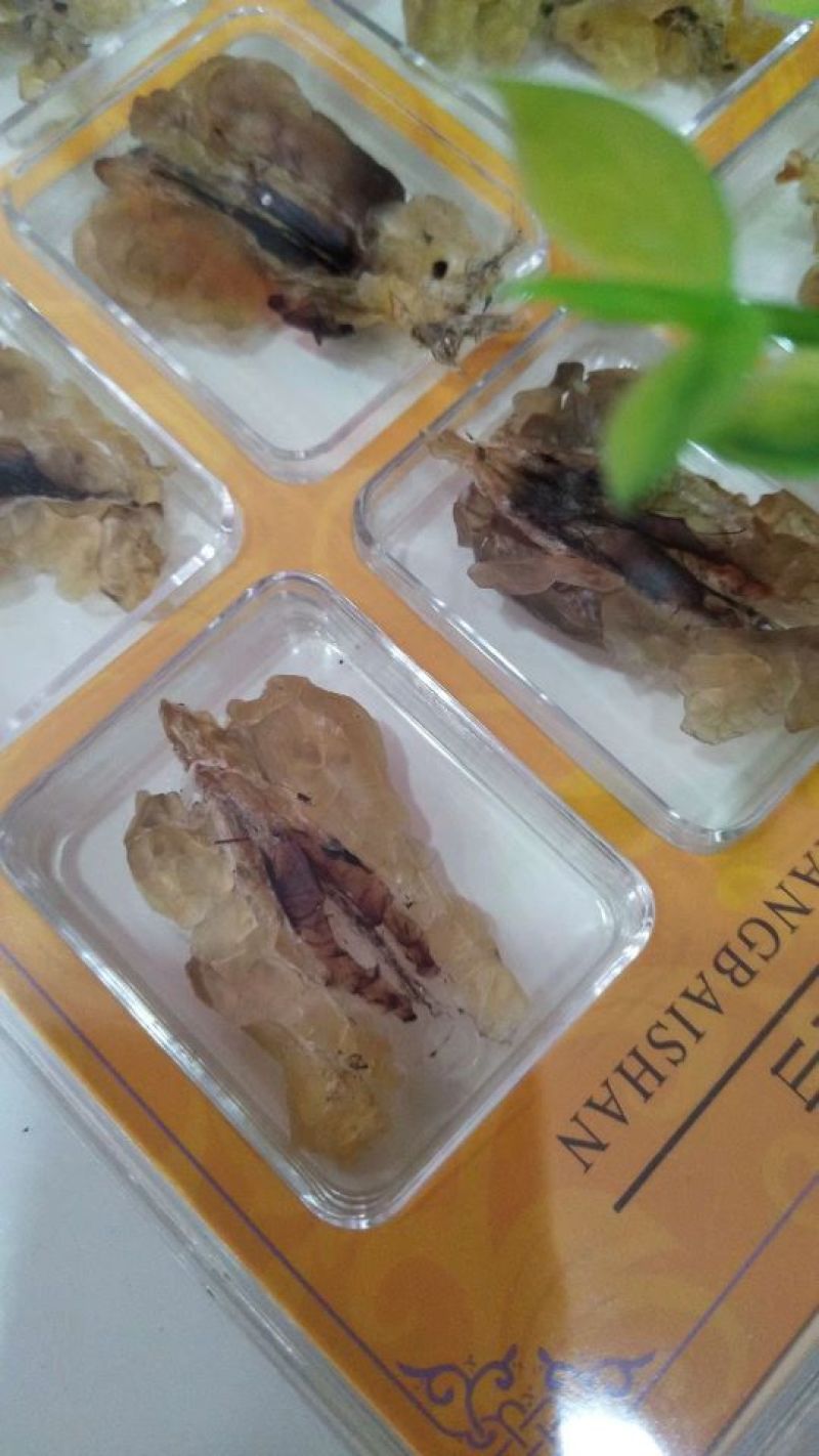 林蛙油