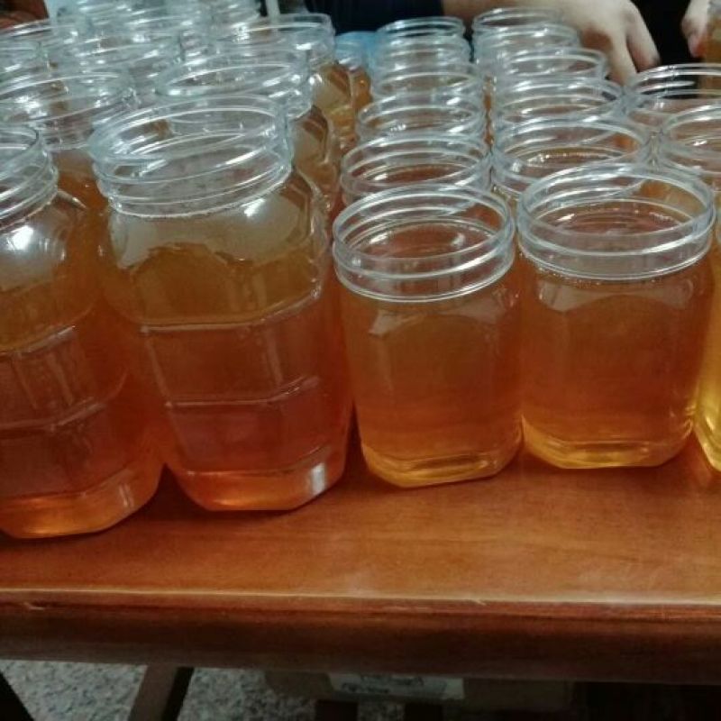 蜂蜜真实的蜂蜜