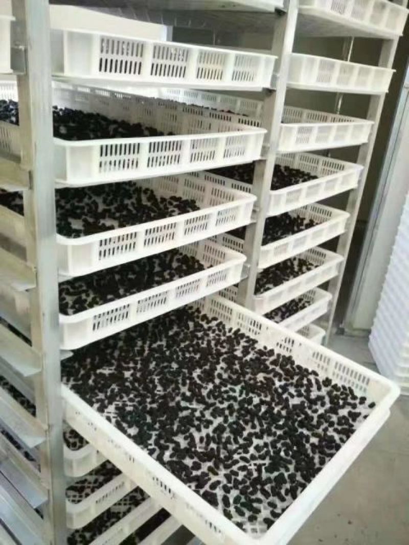 桑葚干食品级