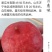 极早熟露天春雪芽变桃苗大棚露天都可栽植