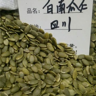 白南瓜仁