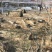 比利时兔养殖基地常年供应优质种兔以及商品兔