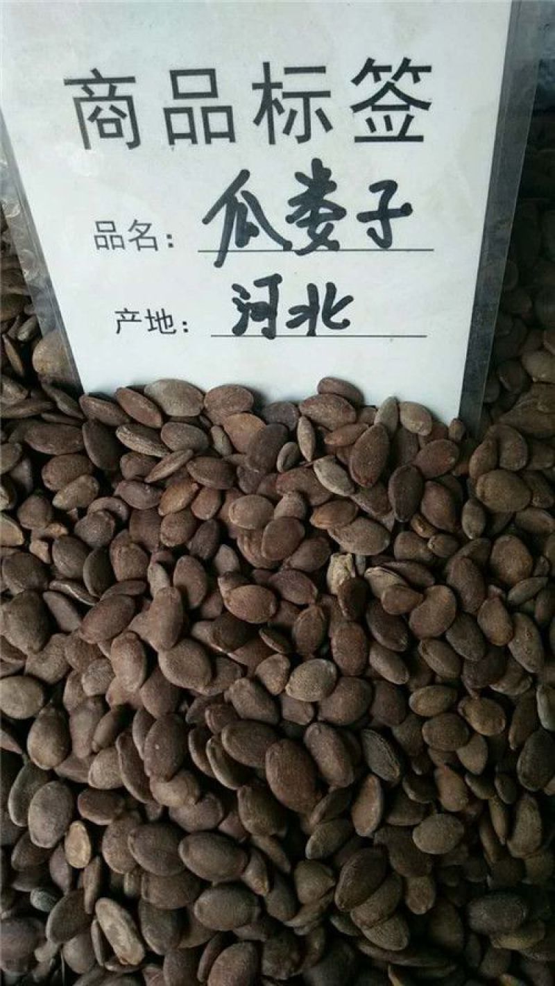 瓜蒌籽选货