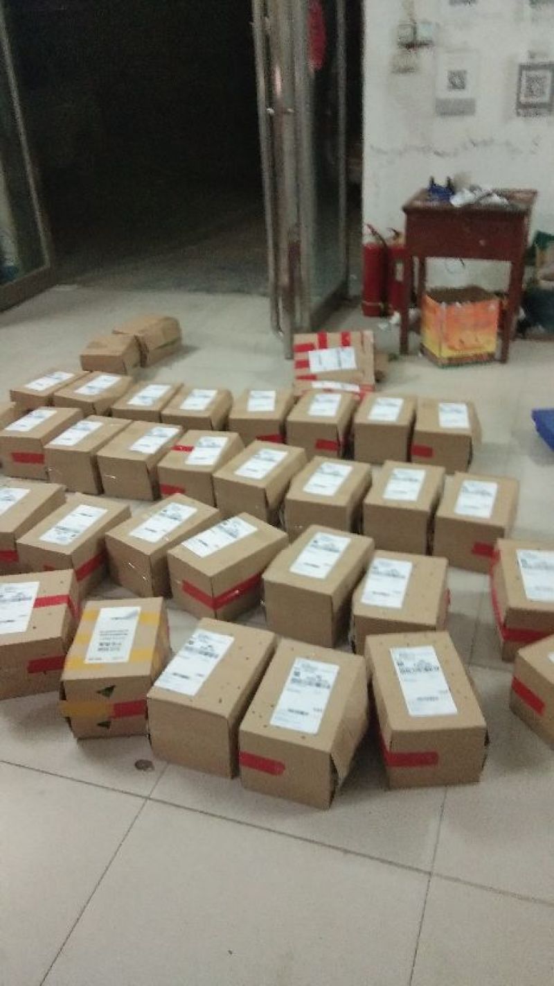 河南开封【向日葵】产地直供一手货源颗粒饱满代发全国