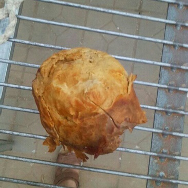 鸡宝
