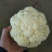 精品散花精品菜花加工厂商超量大质优产地直发