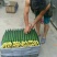 精品黄瓜产地直发包装齐全商超供应品质量大质优