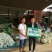 小白菜20~30cm产地直发量大质优商超供应品质