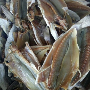 鱼干腌制鱼干