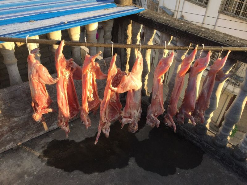 预售（2019年12月上市）腊兔子送礼佳品