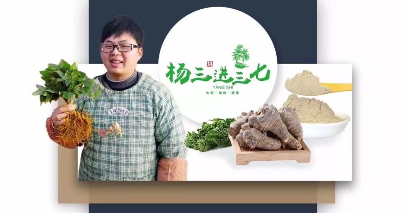 春三七23头足干.厂家批发.促销。远销美国，药企合作伙伴