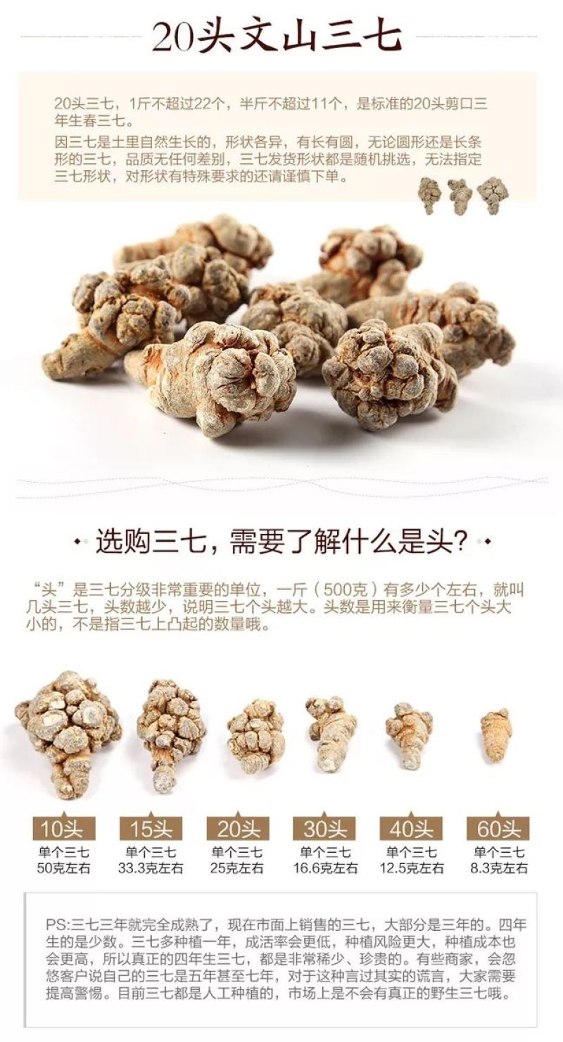 春三七23头足干.厂家批发.促销。远销美国，药企合作伙伴