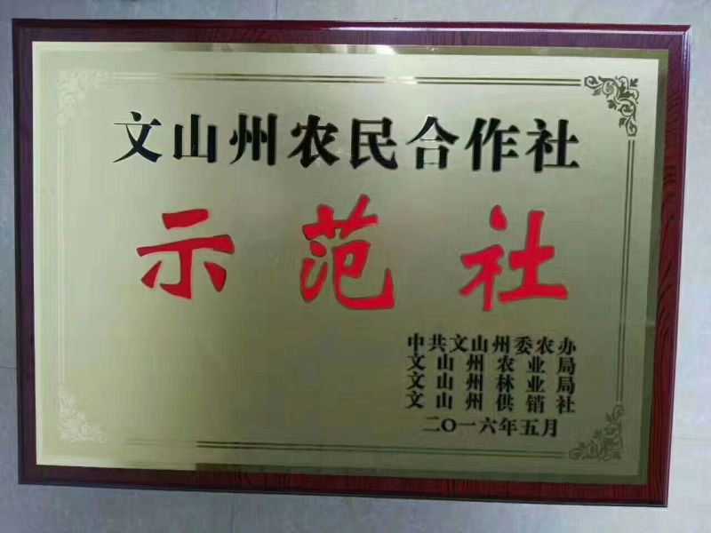 春三七23头足干.厂家批发.促销。远销美国，药企合作伙伴