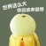 12月摘果-白玉枇杷，白肉枇杷、五星枇杷-西昌枇杷基地