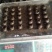 中华圆田螺食用鲜活