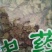 猪鬃草