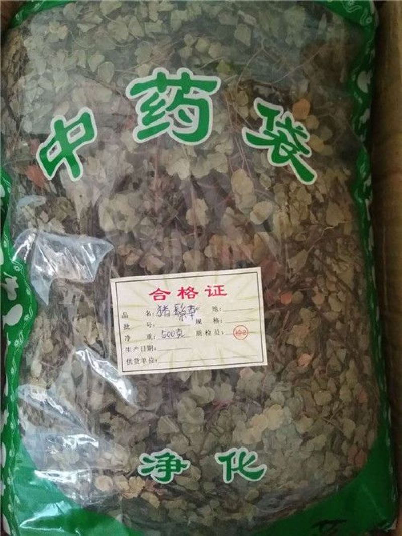 猪鬃草