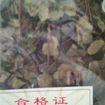 猪鬃草