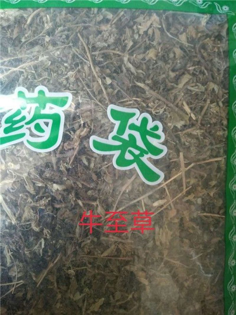 牛至草