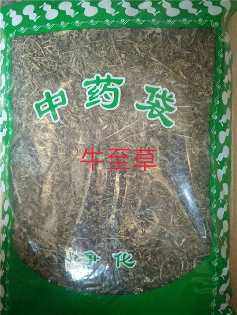 牛至草