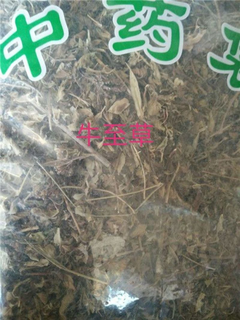 牛至草