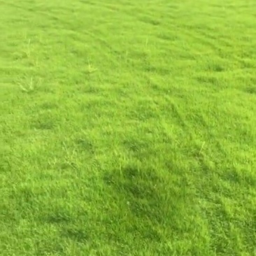 21×21