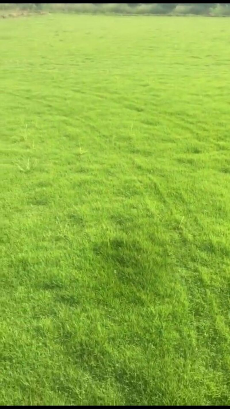 21×21