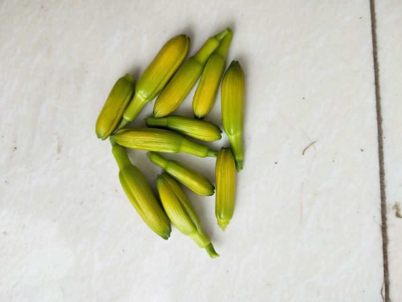 新鲜黄花菜