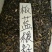 新产板蓝根种子