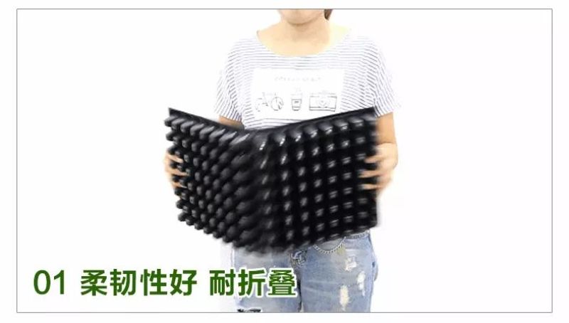 穴盘厂家直销量大优惠