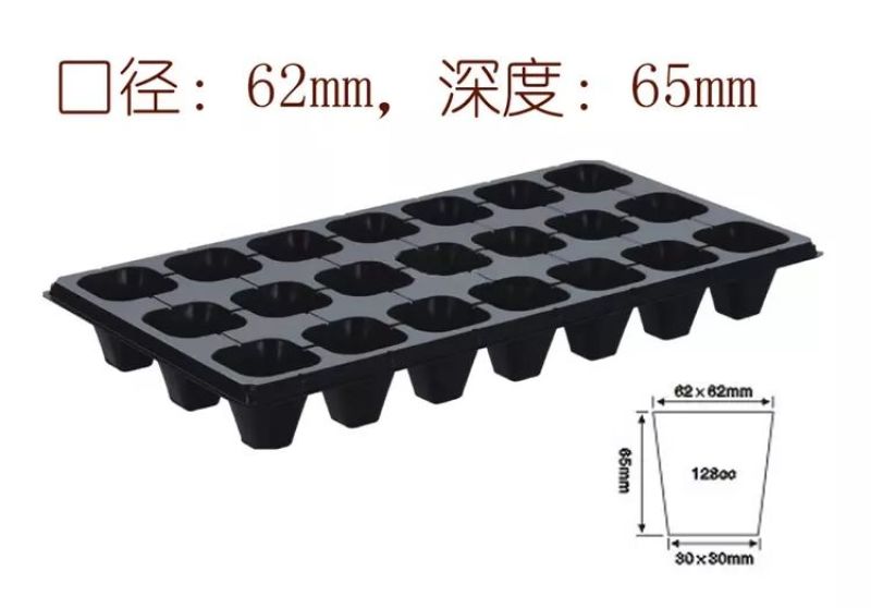 穴盘厂家直销量大优惠
