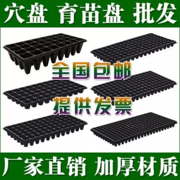 穴盘厂家直销量大优惠