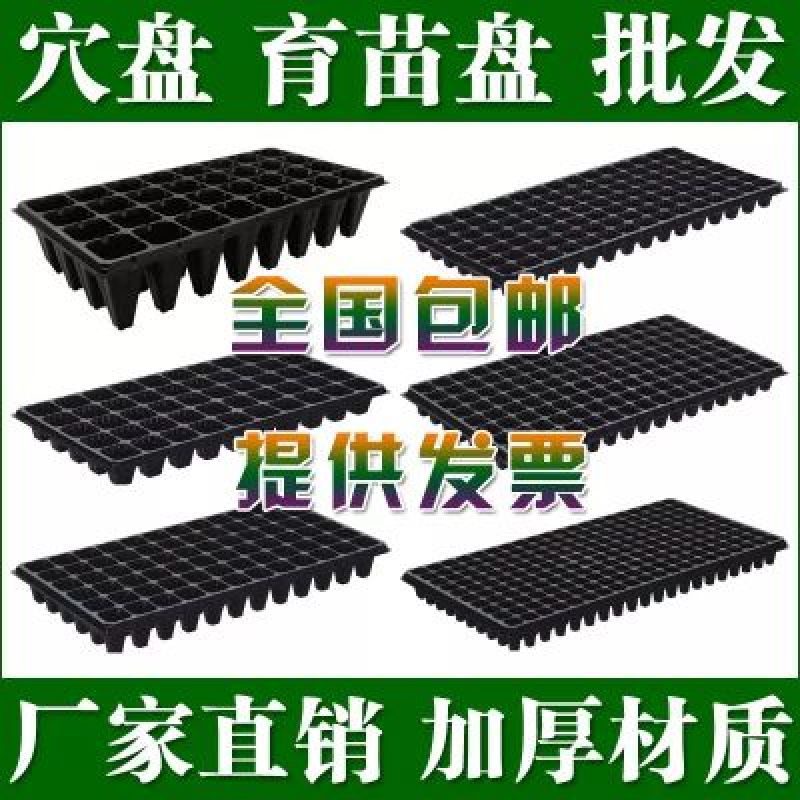 穴盘厂家直销量大优惠