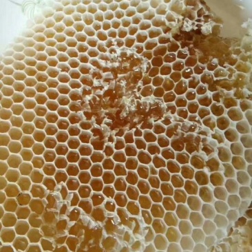 蜂蜜