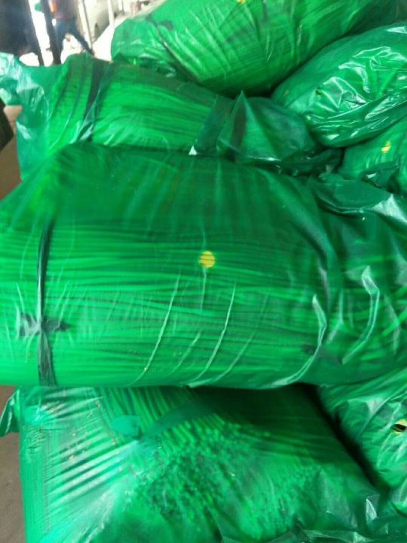 红帽蒜薹品质好