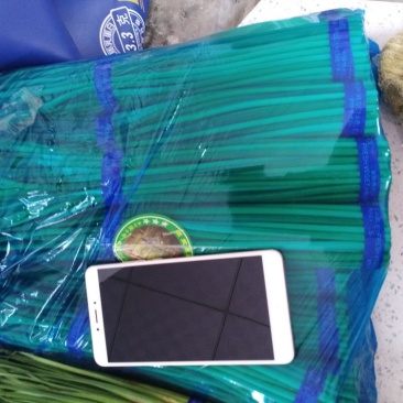 红帽蒜薹品质好