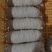猪肠猪小肠肠皮卷