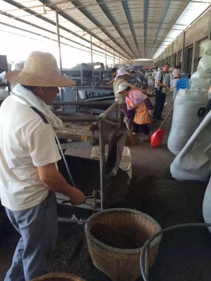 （精品诚信商家）重庆青花椒一手货源、产地直销、量大优惠