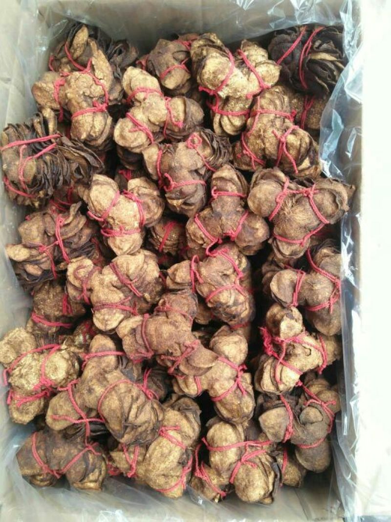 陈皮为芸香科植物橘和他的栽培变种的干燥的成熟果皮