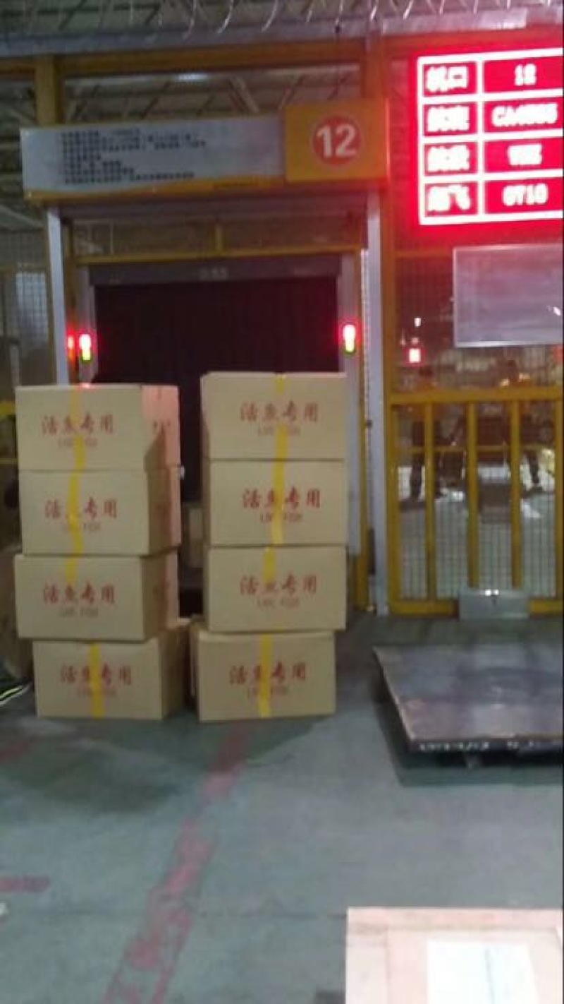 鲫鱼苗良种鲫鱼苗/霸王鲫鱼苗/中科三号鲫鱼苗