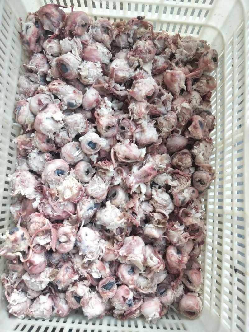 羊蹄，羊头肉，羊肚