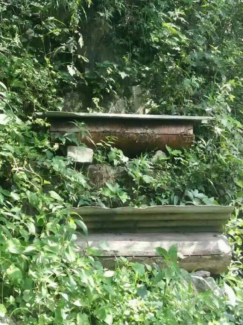 西北深山纯野生土蜂蜜