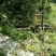 西北深山纯野生土蜂蜜