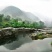 西北深山纯野生土蜂蜜