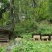 西北深山纯野生土蜂蜜