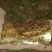 西北深山纯野生土蜂蜜