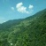 西北深山纯野生土蜂蜜