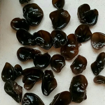 春耳一级