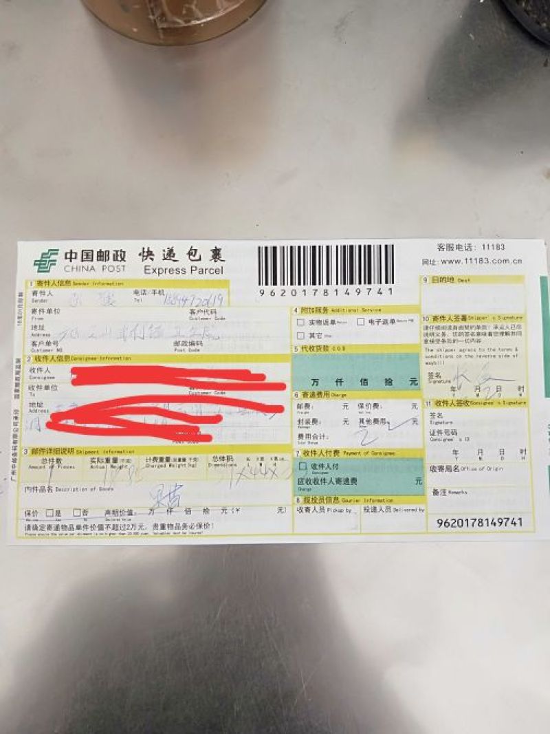 木瓜苗红心木瓜苗黄金木瓜苗